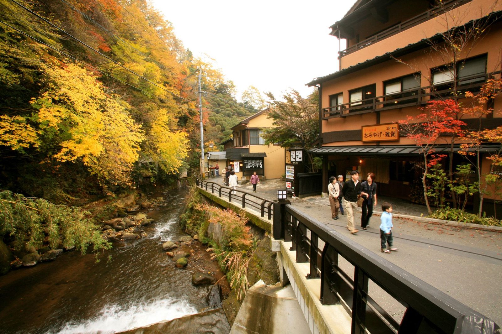 Autumn leaves along the river beside the main street and inn buildings of Kurokawa Onsen