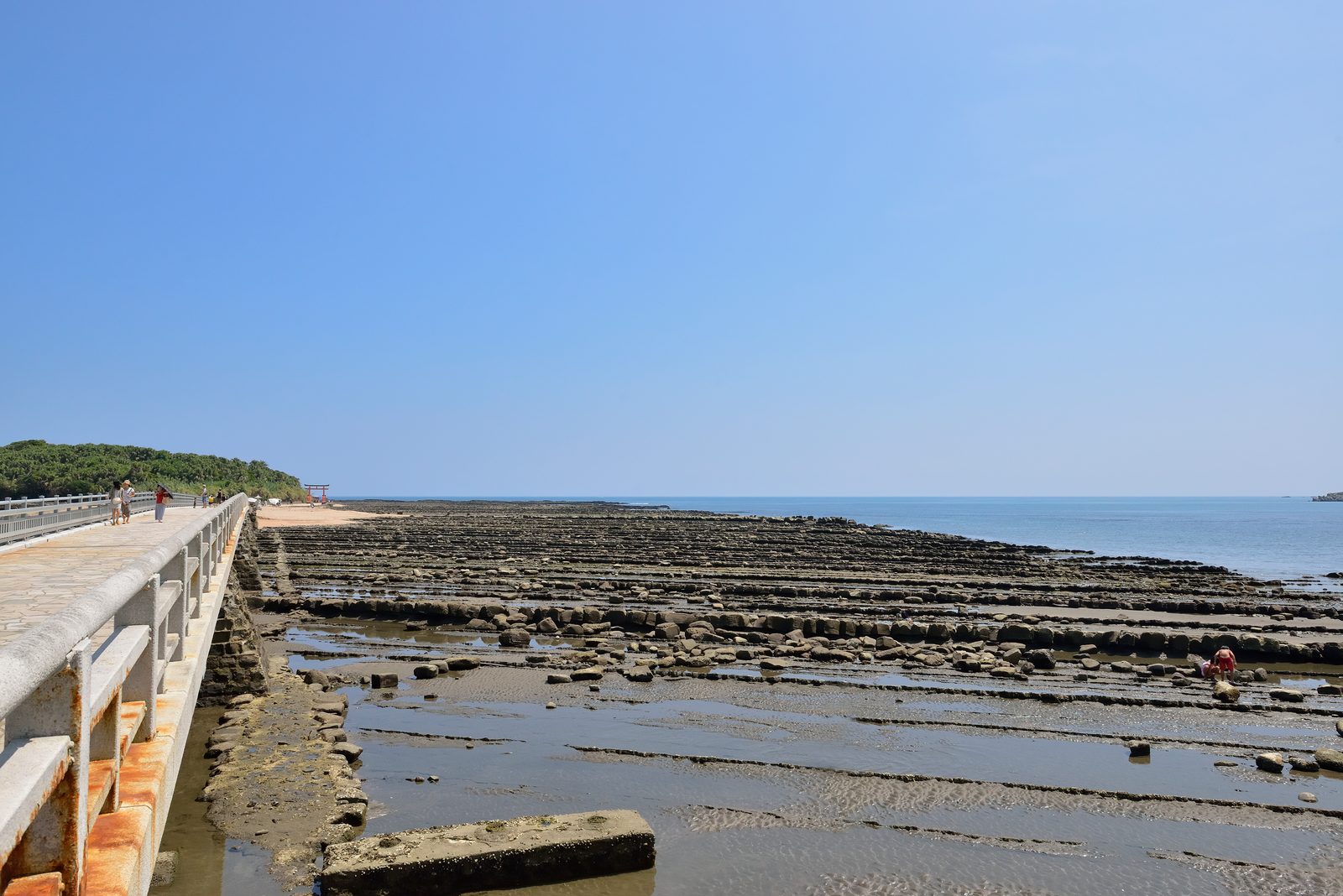 Concrete railing of the bridge to Aoshima beside flat ridged rock exposed at low tide