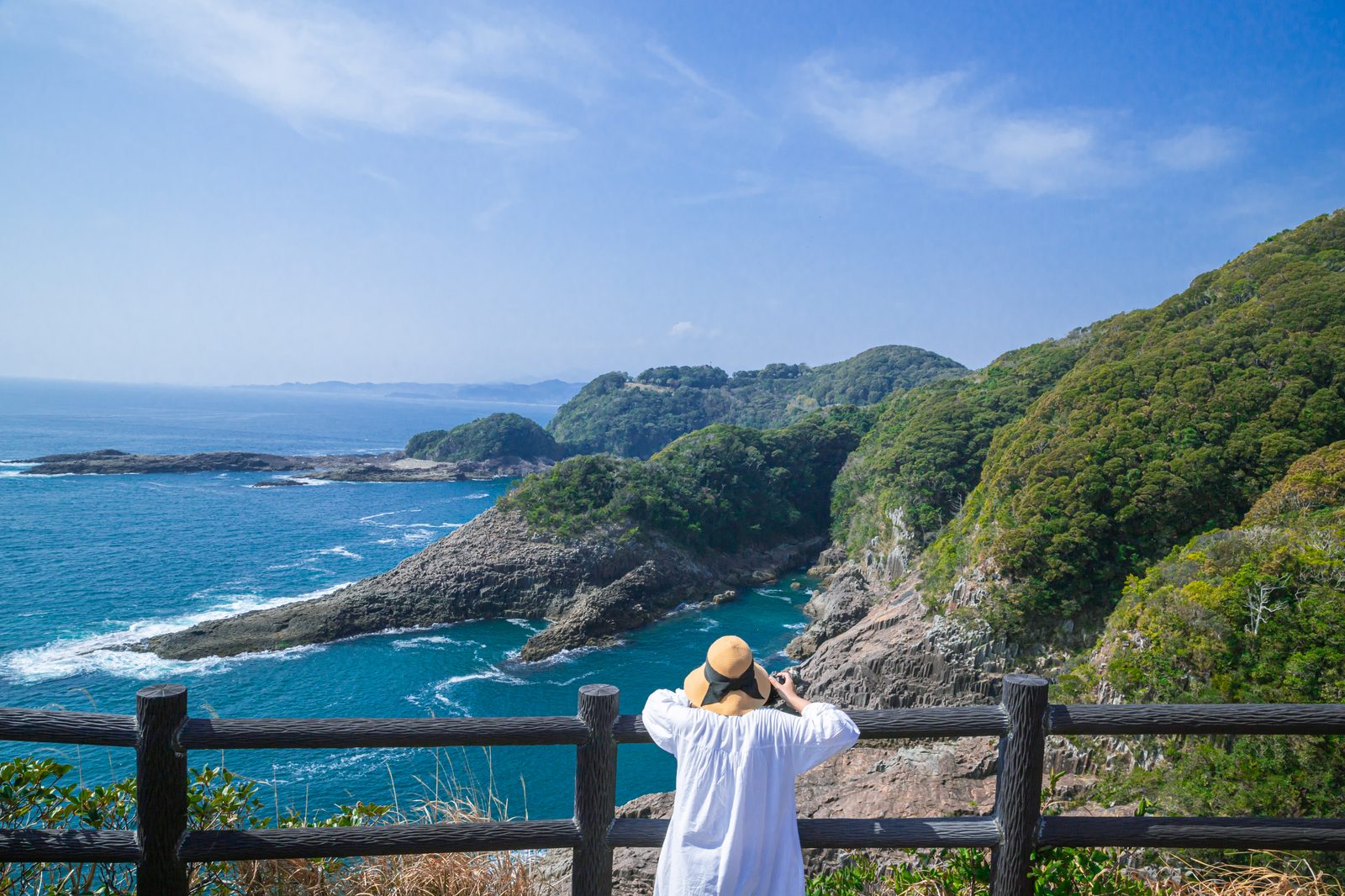 A person seen from behind at a railing, looking out over a blue sea and a green headland