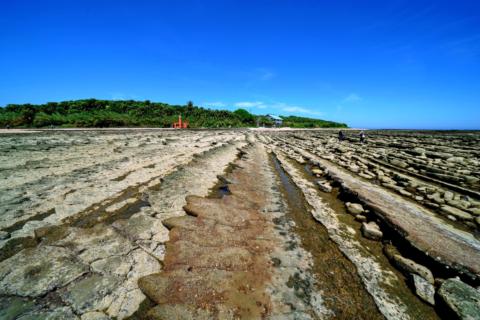Rows of ridged rock shelf, the Devil's Washboard, running out toward the wooded island of Aoshima at low tide