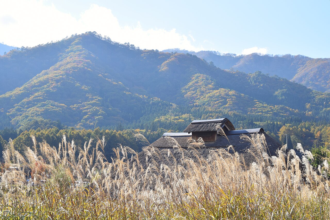 A thatched roof rises behind pampas grass with autumn mountains beyond Ouchi-juku.