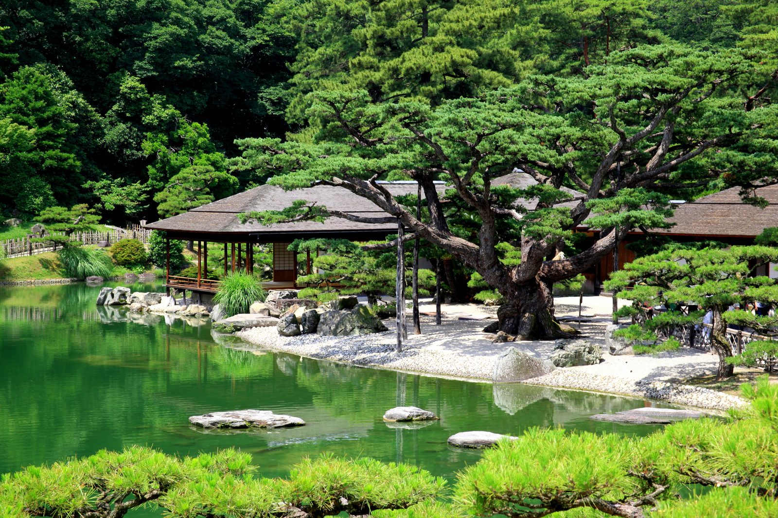 Kikugetsu-tei teahouse at Ritsurin Garden beside the pond, with a large pine and white gravel shore in the foreground