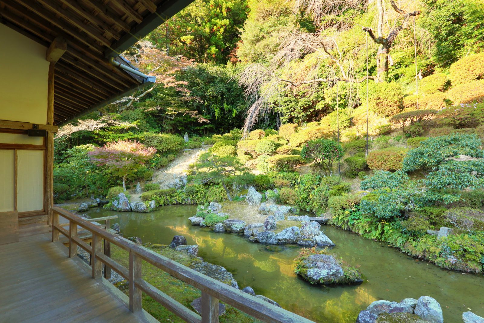 Garden of Ikoji Temple in Masuda, seen from the temple veranda