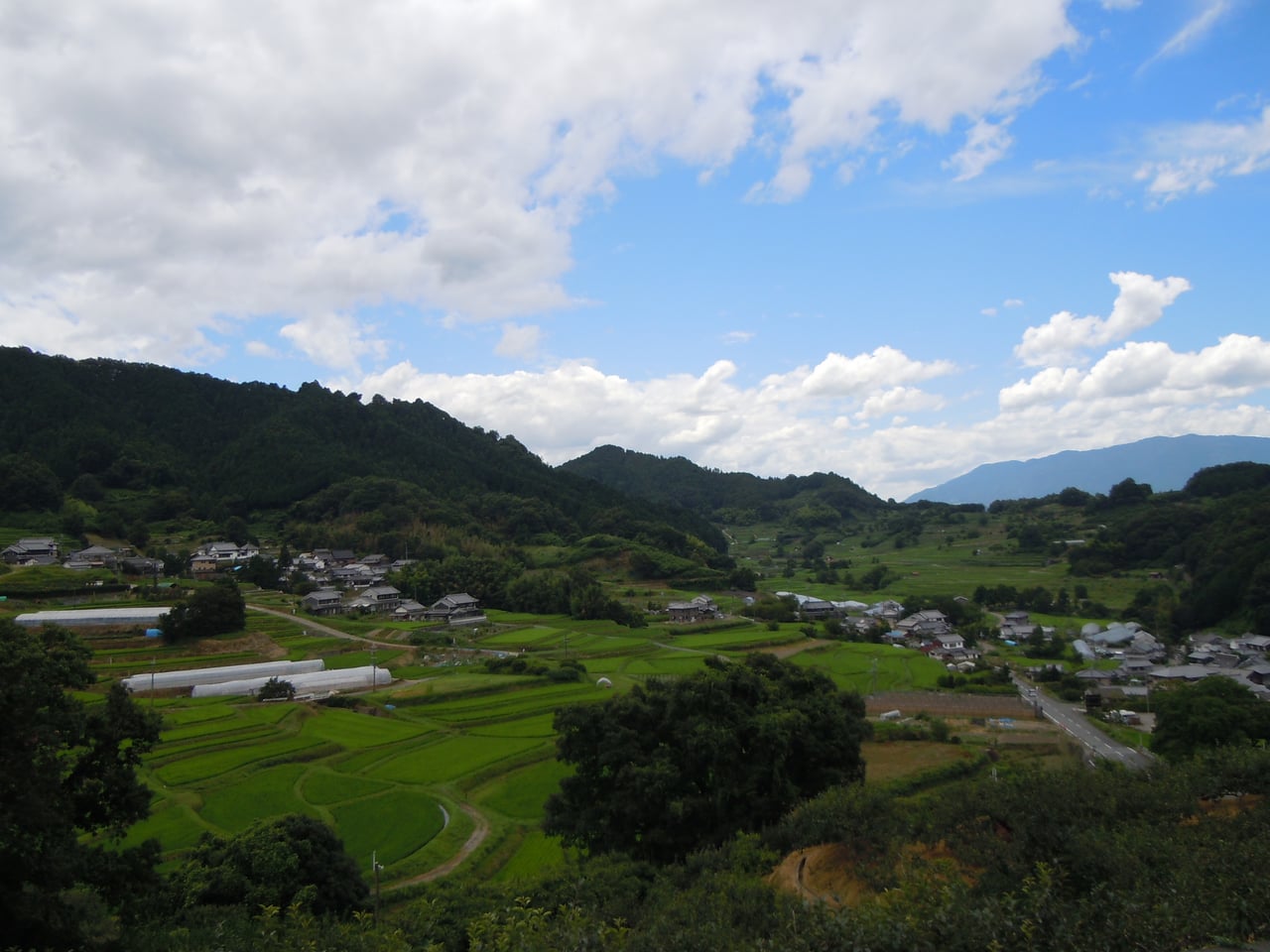A patchwork of rice fields and a small cluster of traditional houses in Asuka village, Nara, framed by green hills.