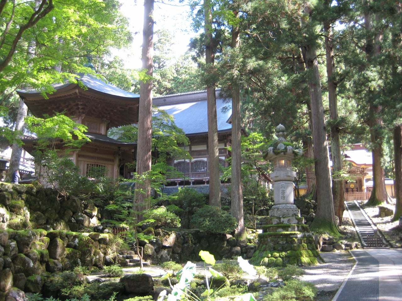 A wooden gate building of Eiheiji temple surrounded by tall trees in Eiheiji town, Fukui.
