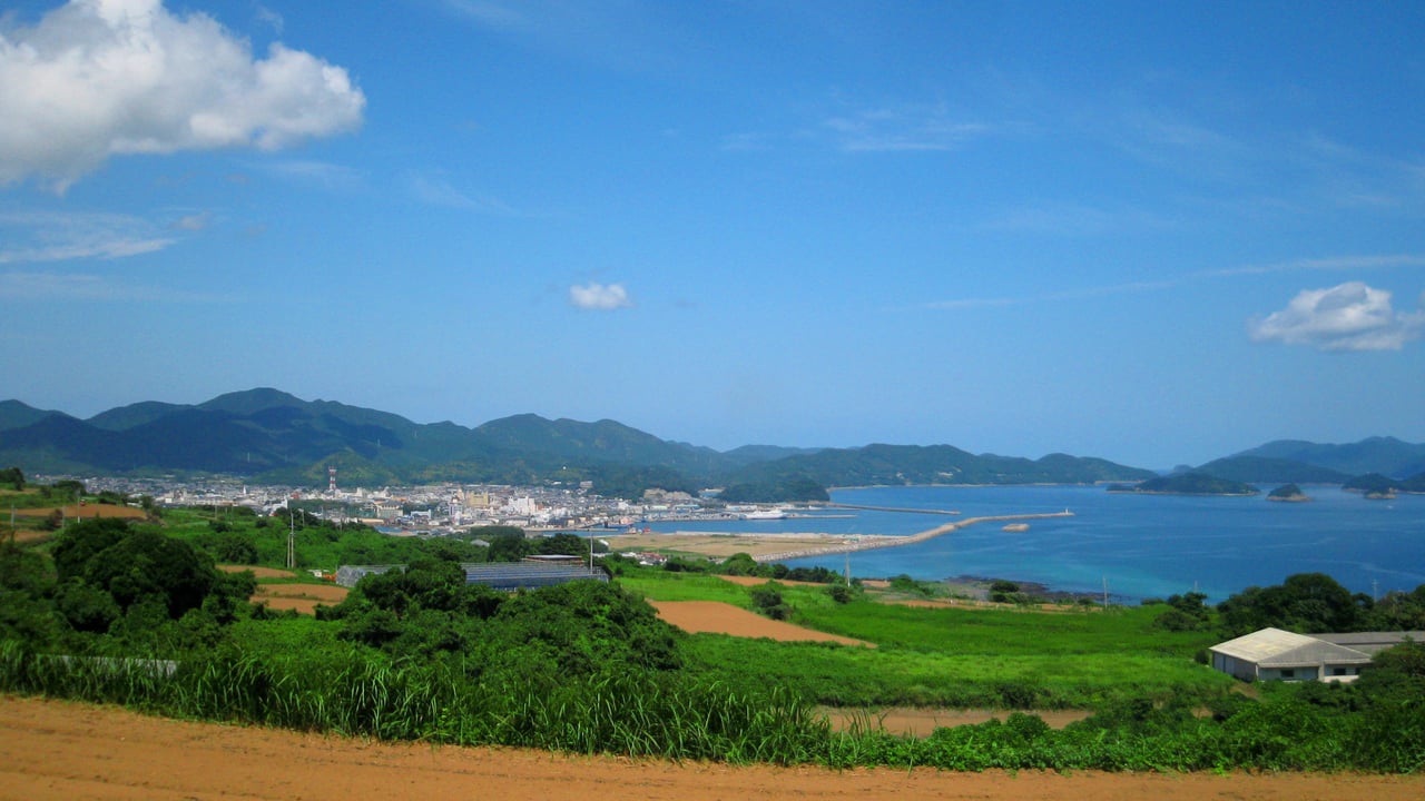 A view over rice fields toward the harbor town of Fukue Port on Goto's Fukue Island, seen from a hillside road.