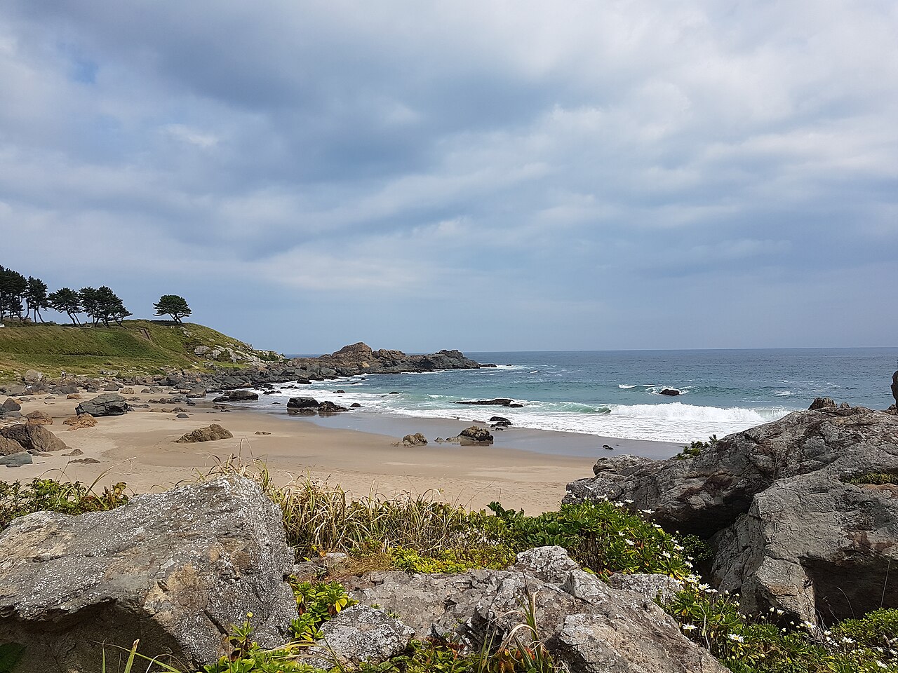 A sandy cove on the Tanesashi Coast with dark rocks, breaking waves and pine trees on a grassy headland