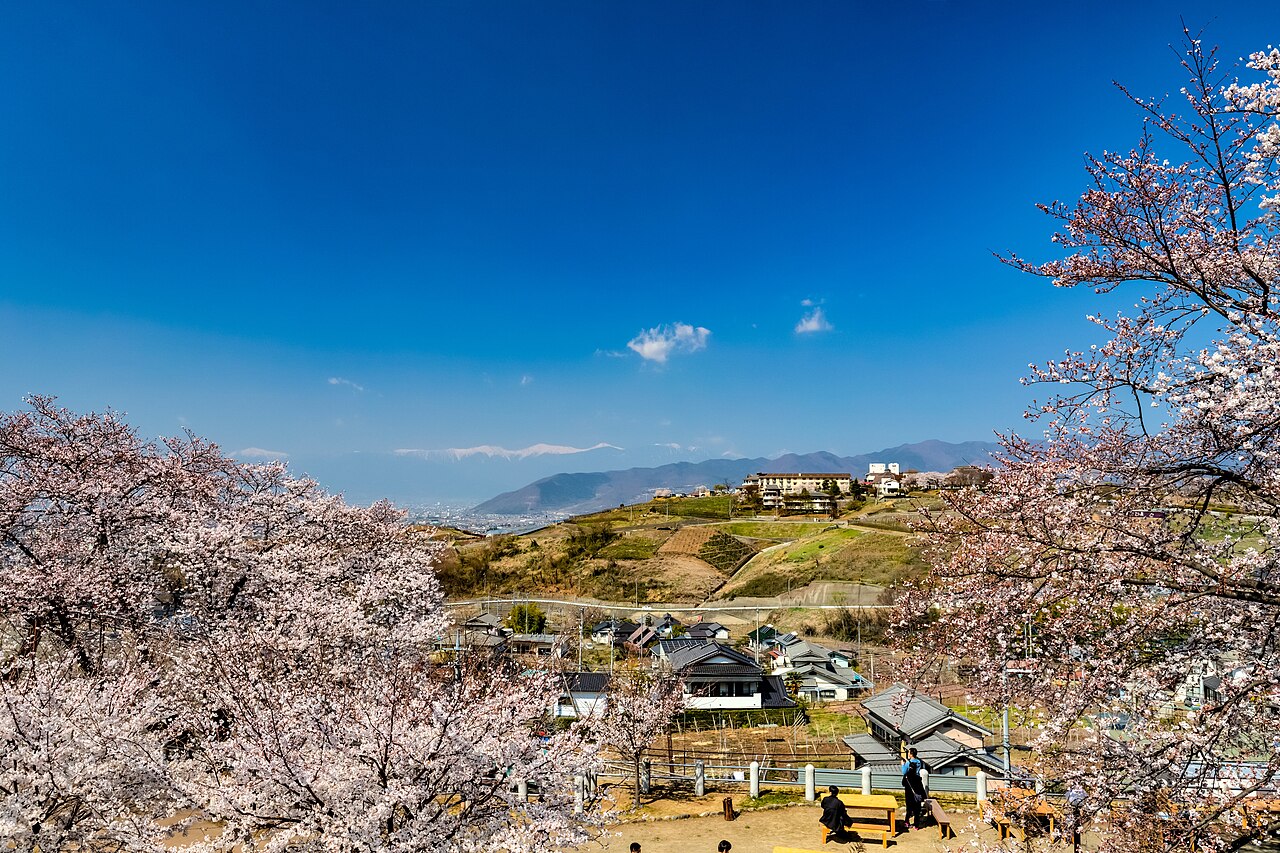 Rooftops of a hillside town framed by cherry blossoms, with farmland and mountain ranges beyond under a blue sky.