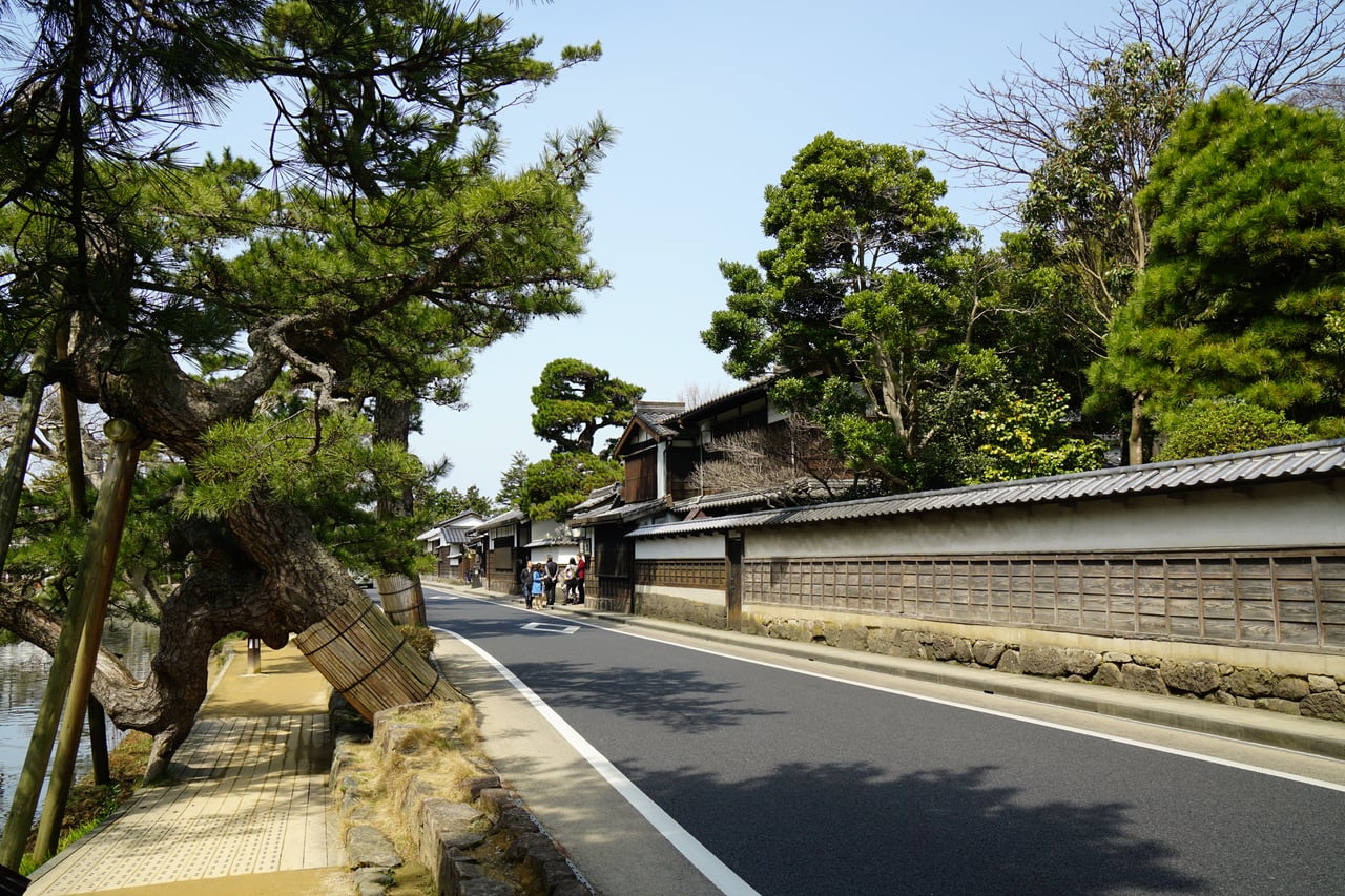 A quiet lane along Matsue Castle's moat lined with old earthen walls and pine trees, part of the historic Shiominawate samurai quarter.