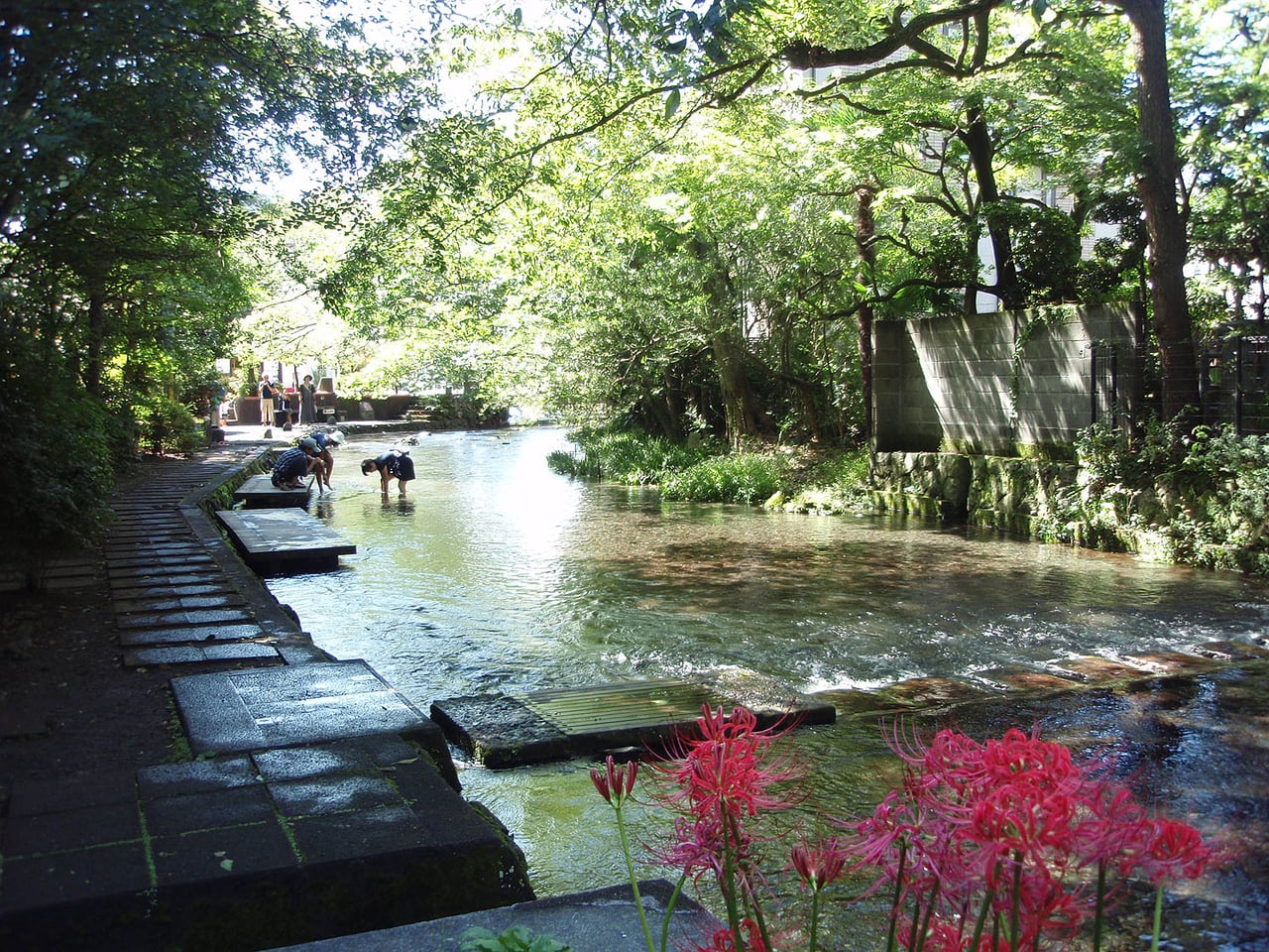 The clear, shallow Genbei River flowing through Mishima, with stepping stones and greenery along its banks.