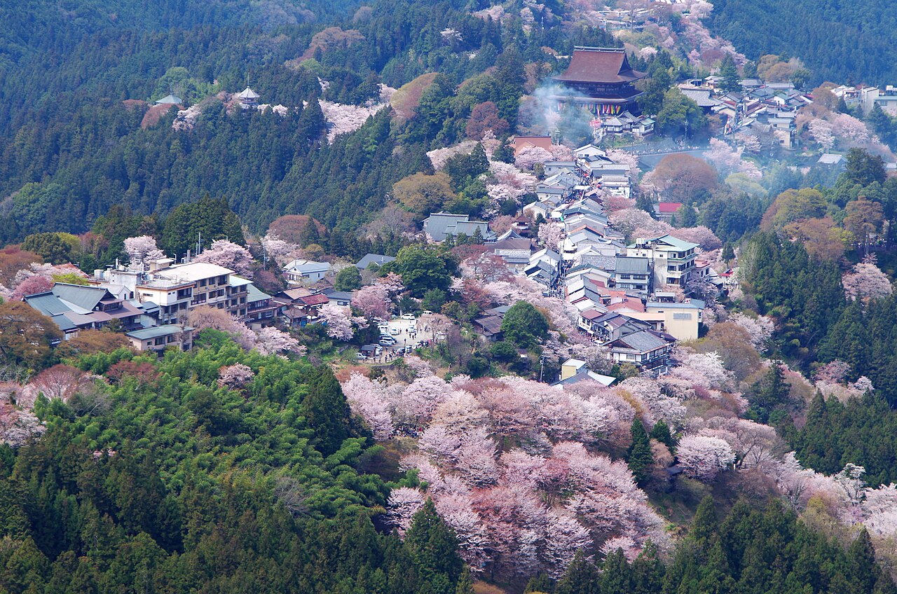 The hillside village of Yoshinoyama seen from Kami-senbon, with inns and houses packed along the ridge road below the roof of Zao-do, surrounded by forested slopes and spring cherry blossom