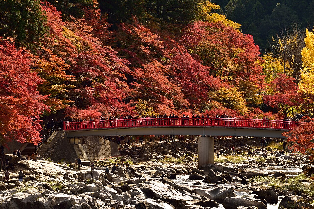The red Taigetsu Bridge crowded with visitors, with a hillside of autumn leaves and the rocky riverbed of the Tomoe River below