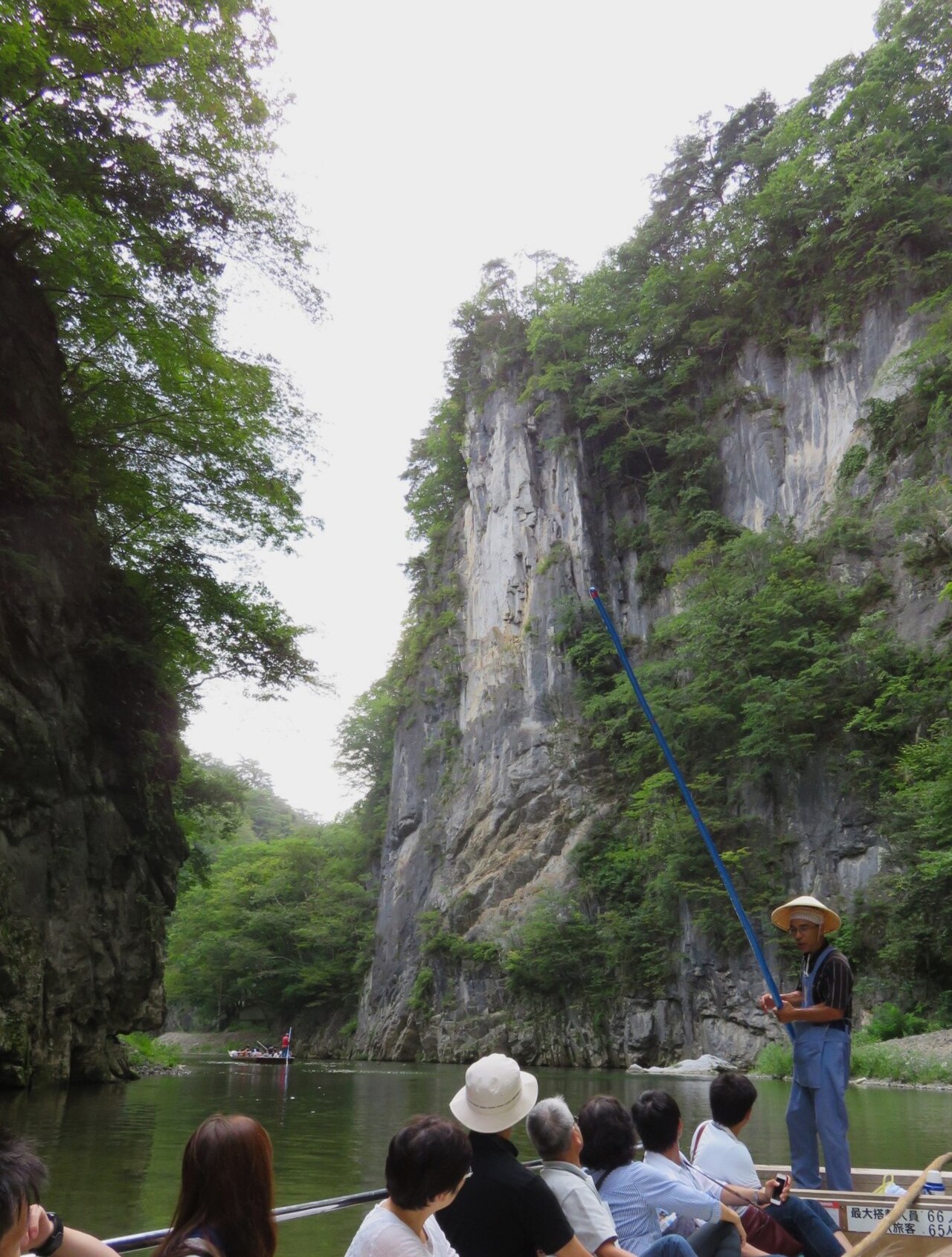 Passengers seated in a flat boat while a boatman with a long pole stands at the stern, a tall pale limestone cliff covered in trees above them