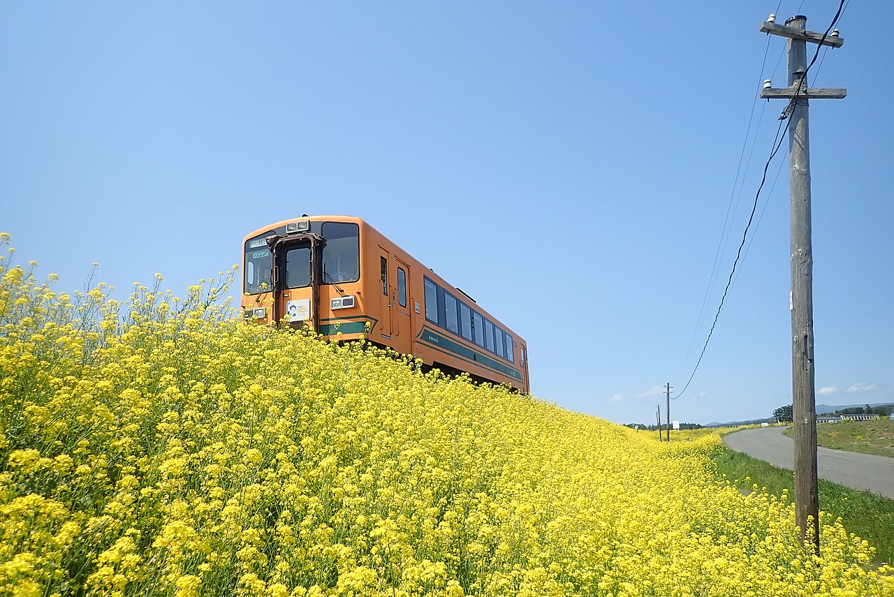An orange-and-green Tsugaru Railway railcar passing a bank of yellow rapeseed flowers under a blue sky