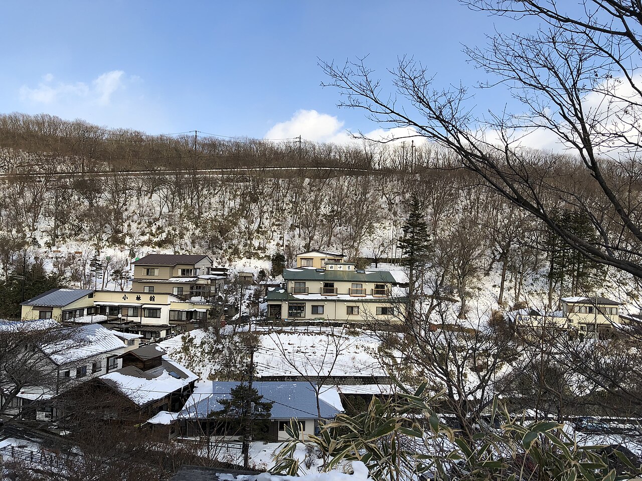 The snow-dusted hot-spring village of Nasu Yumoto seen from above through bare trees