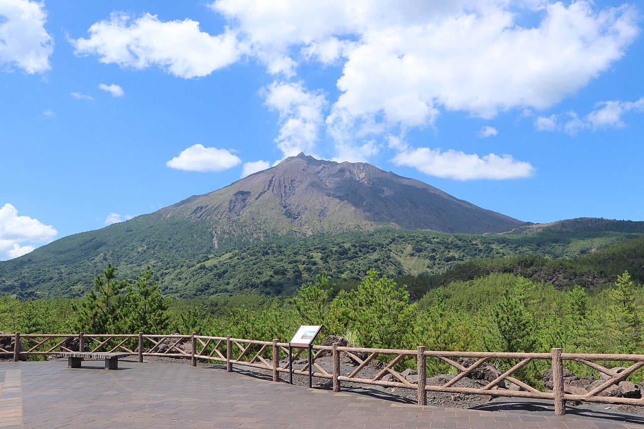 A wooden-railed viewing deck facing the cone of Sakurajima across a band of green lava-field forest under a blue sky