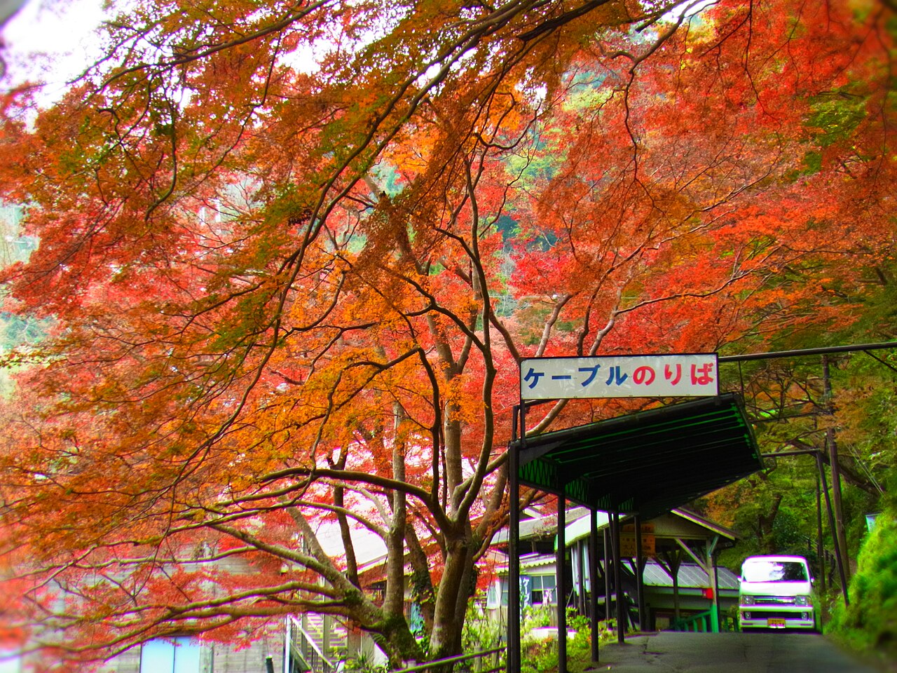 The Senbonguchi boarding area of the Yoshino Ropeway framed by a vivid red maple tree, with a green canopy over the station entrance and a sign reading Cable Noriba