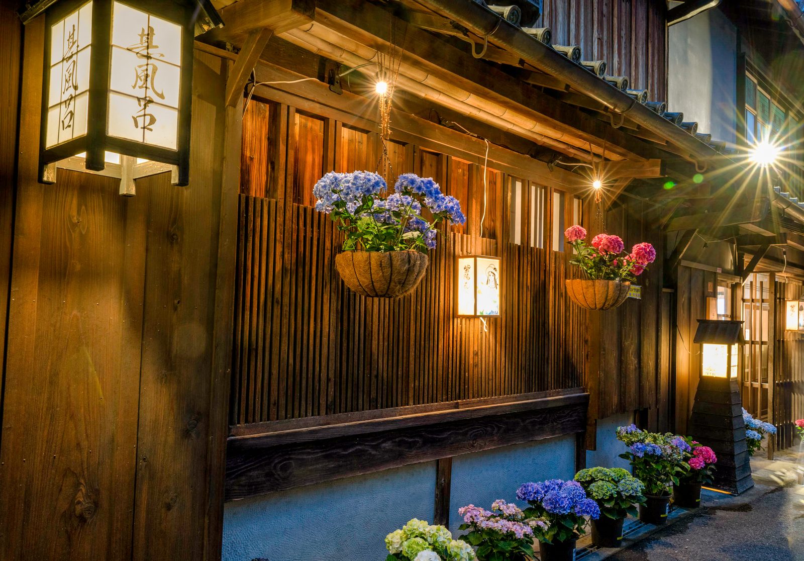 Hydrangea flowers in hanging baskets and planters beside a lit lantern and dark wooden lattice wall in Yuasa